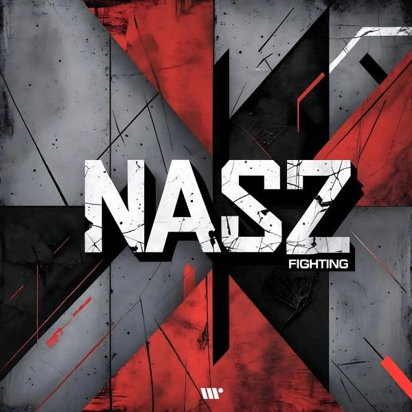Cover image for Fighting by Nasz