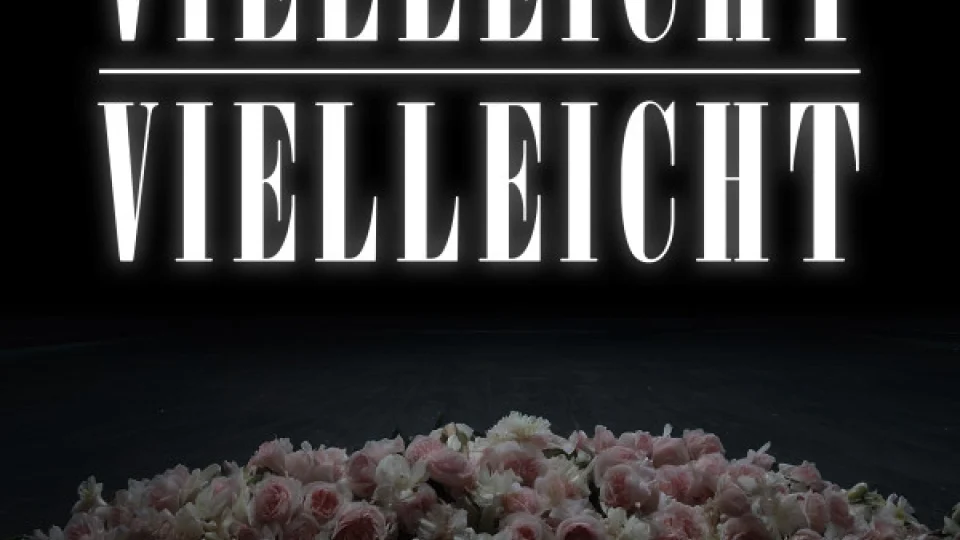 Vielleicht Vielleicht Image