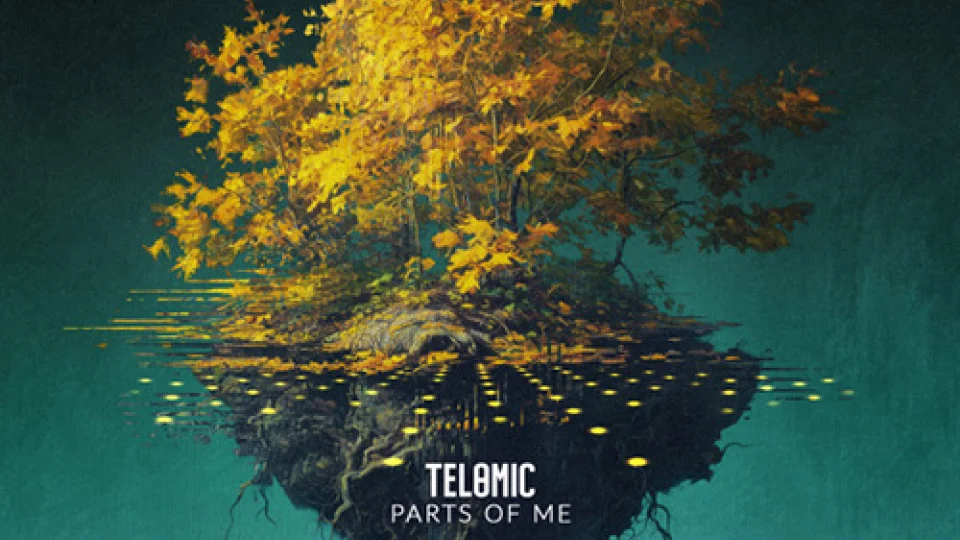 Parts of Me Image