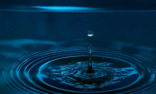 The Art of Stillness: Minimal Drum and Bass in 2026 image