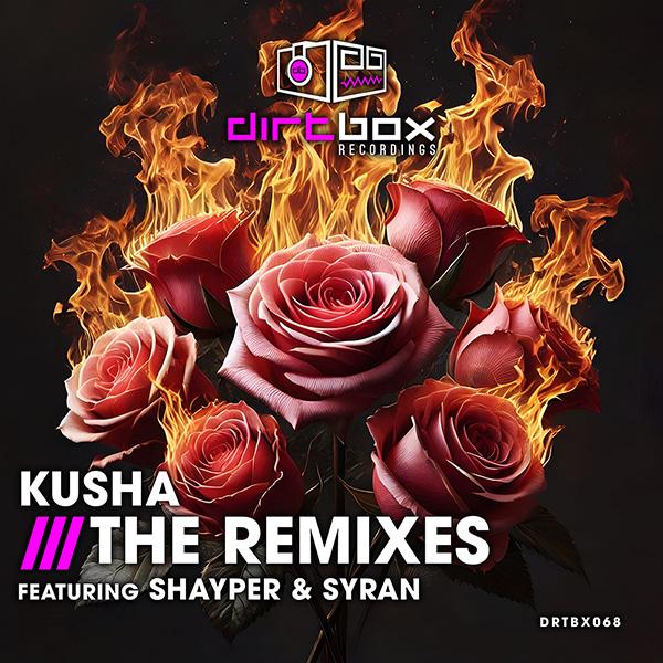 Cover image for The Remixes (SyRan & Shayper) by SyRan, Shayper & Kusha