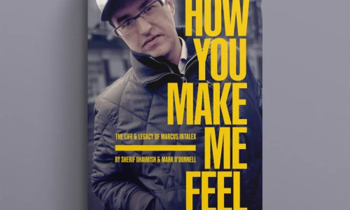 How You Make Me Feel: An Extract image