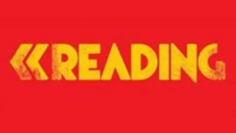 Reading Festival Image