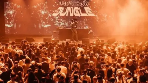 The History of Jungle Image