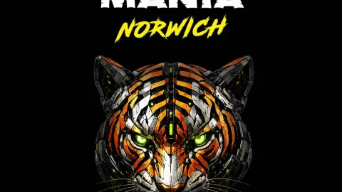 Jungle Mania Norwich Image