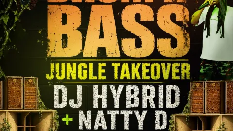 Brum N Bass Present: Jungle Takeover Image
