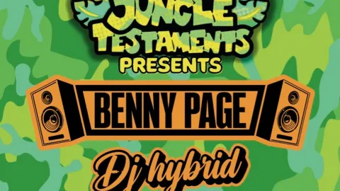 Jungle Testaments: Benny Page & DJ Hybrid Image