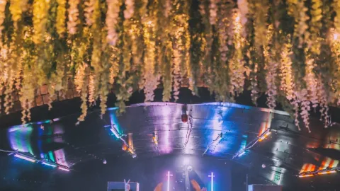 Duck DnB: On The Roof 2 (Free Rave) Image