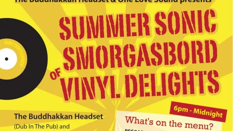Summer Sonic Smorgasbord of Vinyl Delights Image