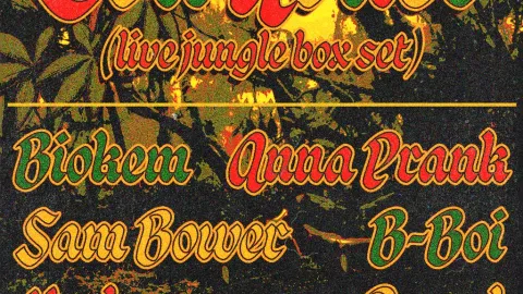 Lou Roller (live jungle box set) Image