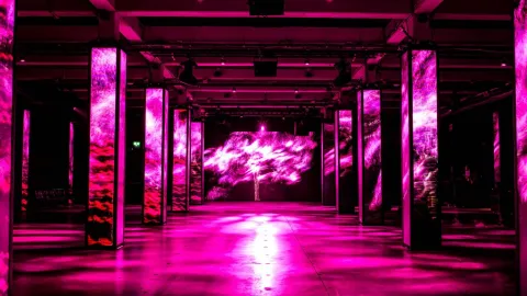 SUNANDBASS Recordings Amsterdam Image