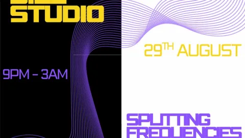 Bile Studio V Splitting Frequencies Image