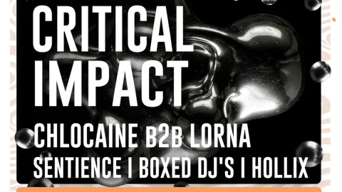 Boxed x Attic Bar Image