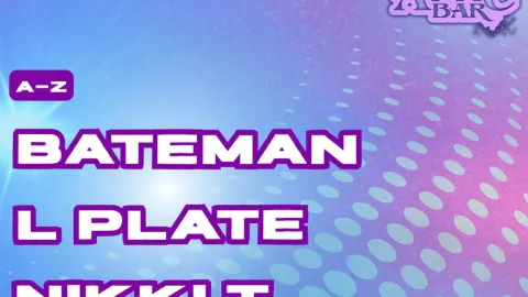 Attic Bar Residents: Bateman, L Plate & Nikki T Image