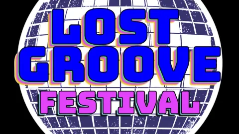 Lost Groove Festival 2027 Image