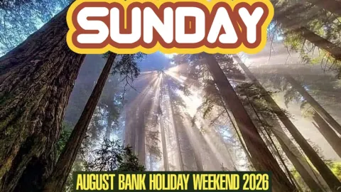Lazy Sunday Festival Image