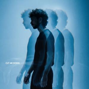 Cut Me Down image