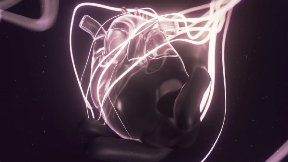 hEarTbeAt Image