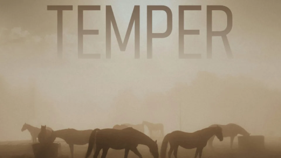 Temper Image
